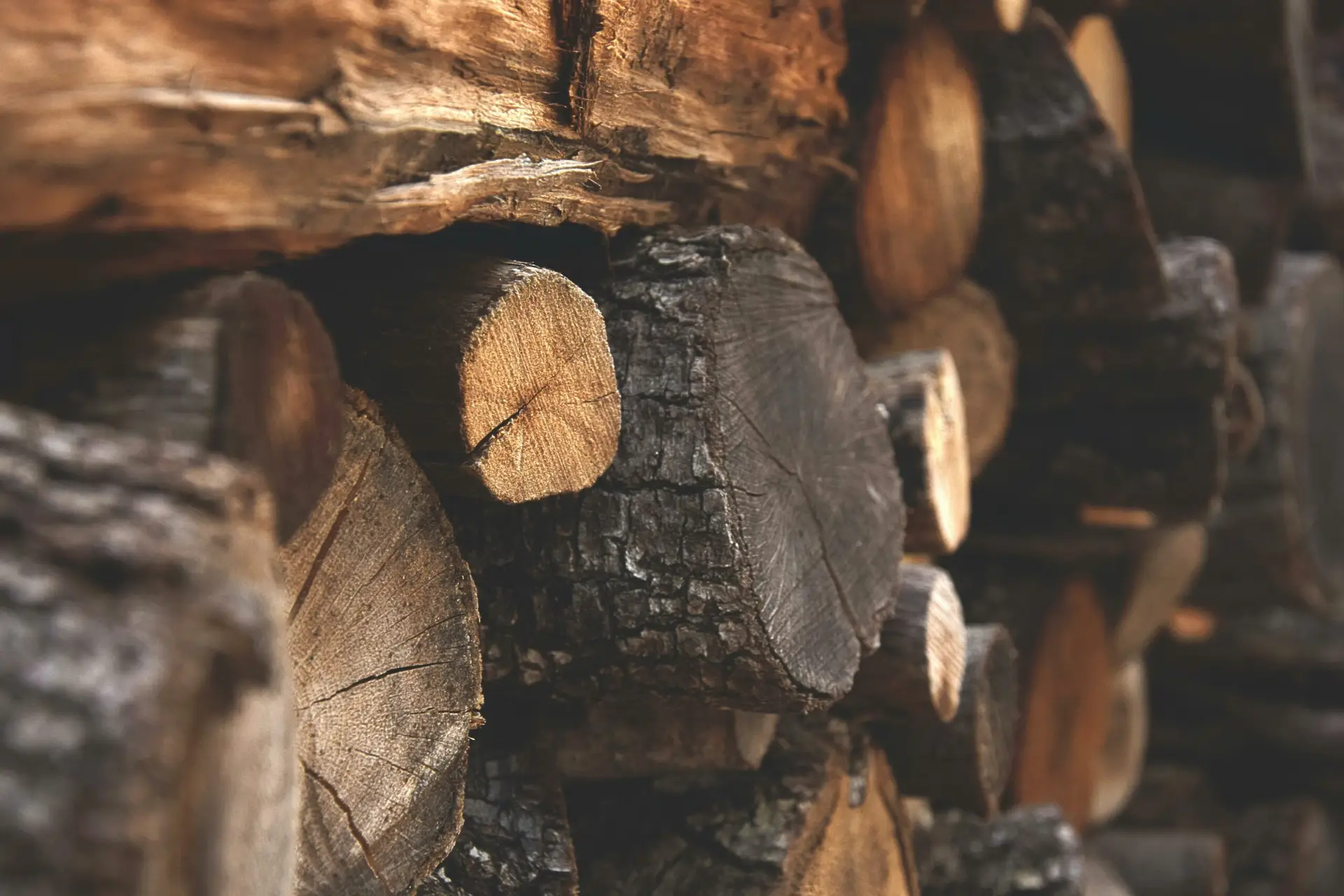 termob bois Calvados le bois notre passion termob